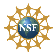 National Science Foundation logo